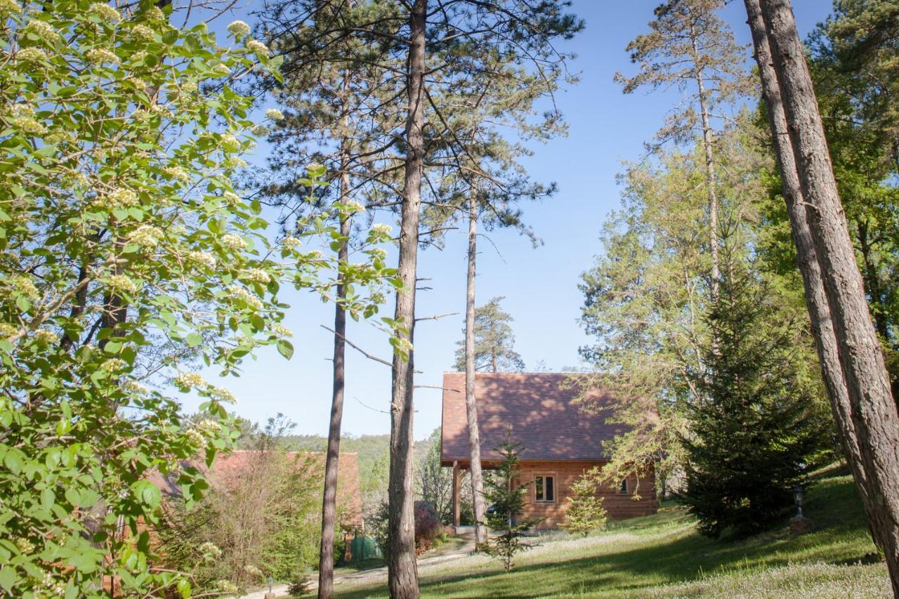 Au Pre De L'Arbre Villa Sarlat-la-Canéda Eksteriør billede